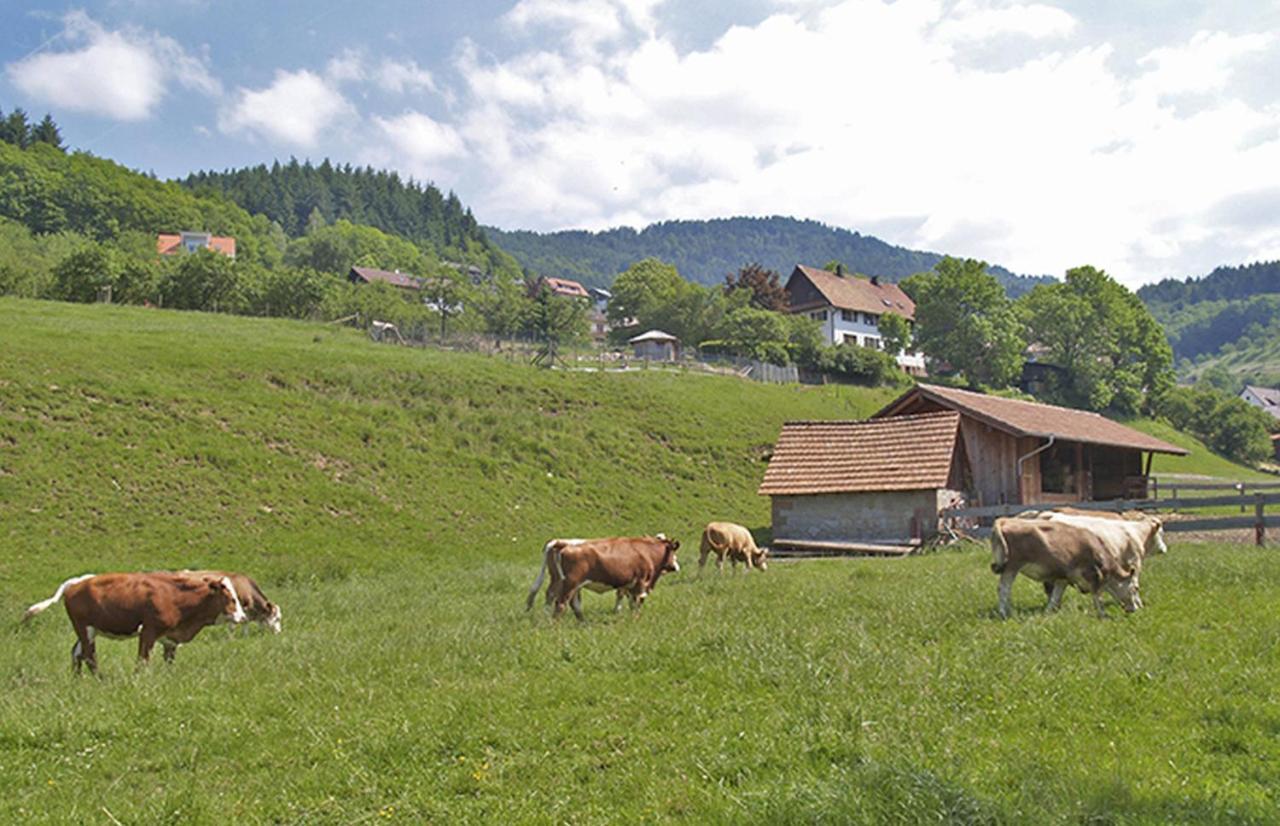 Schnurrenhof Lejlighed Seebach Eksteriør billede