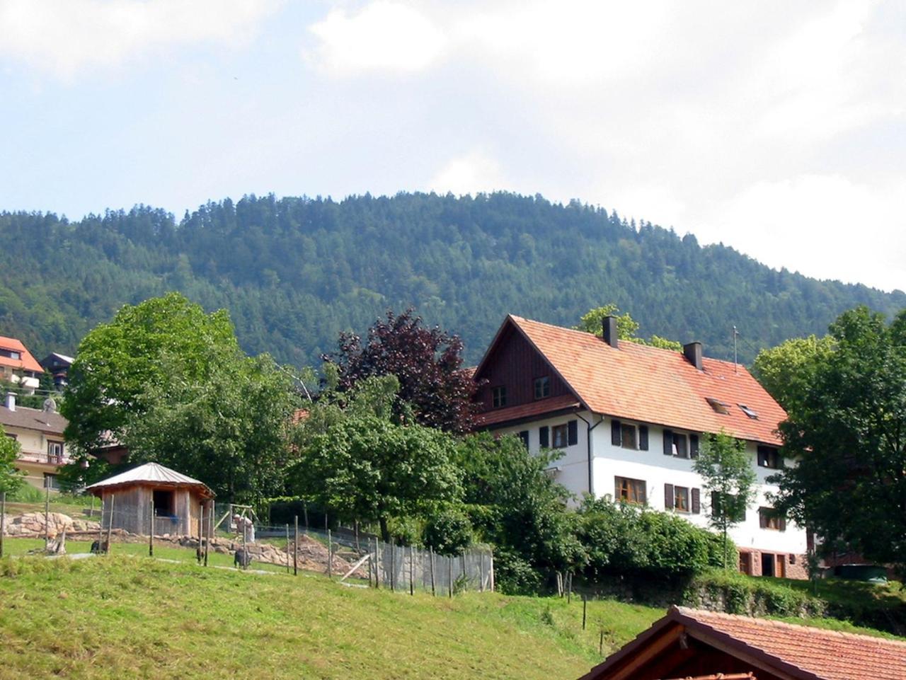 Schnurrenhof Lejlighed Seebach Eksteriør billede