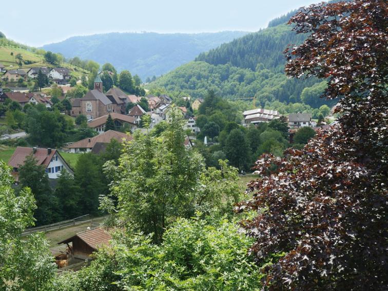 Schnurrenhof Lejlighed Seebach Eksteriør billede